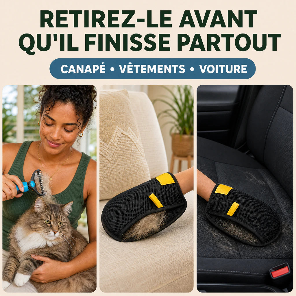 DuoRake et gants attrape-poils pour canapé vêtements et voiture