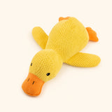 Canard renforcé offert